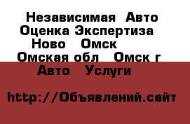 Независимая  Авто Оценка Экспертиза « Ново – Омск »    - Омская обл., Омск г. Авто » Услуги   